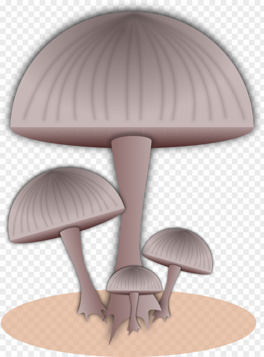 Fungi Toad Mushroom Fungus Clip Art PNG