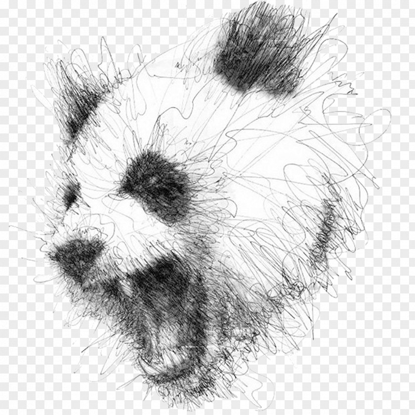 Hand-painted Panda Drawing Artist Illustrator PNG