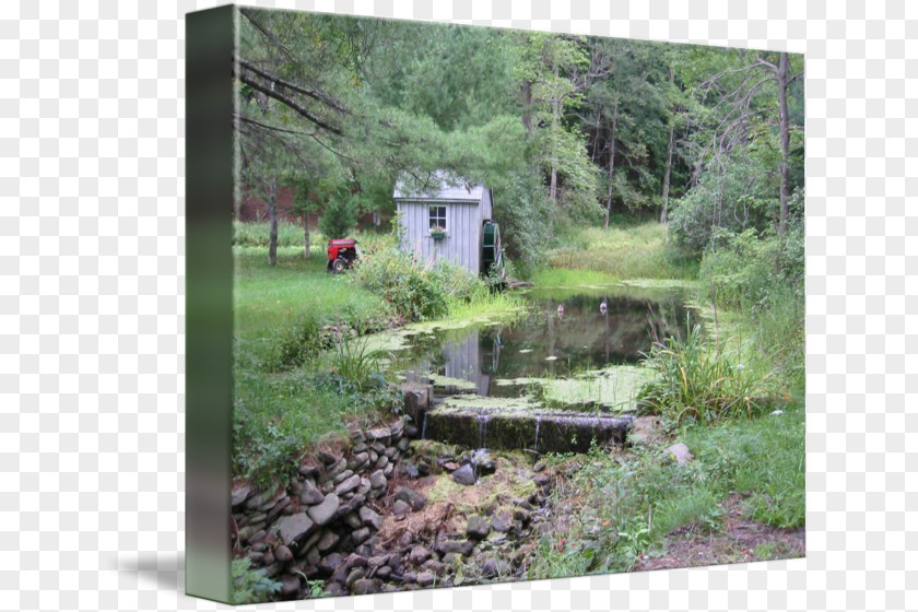 Park Water Resources Nature Reserve Woodland Pond Landscaping PNG