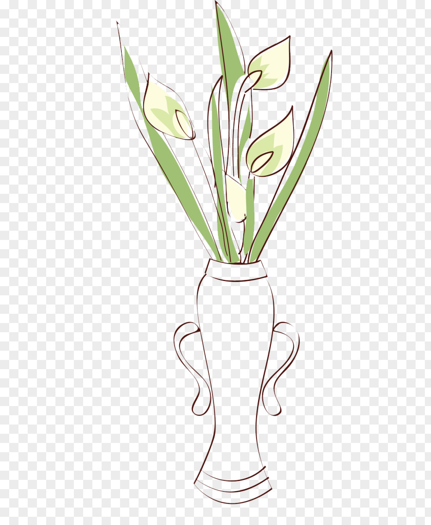 Vase Floral Design Flower Arum-lily PNG