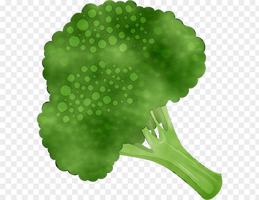 Broccoli Clip Art Cauliflower Vegetable PNG