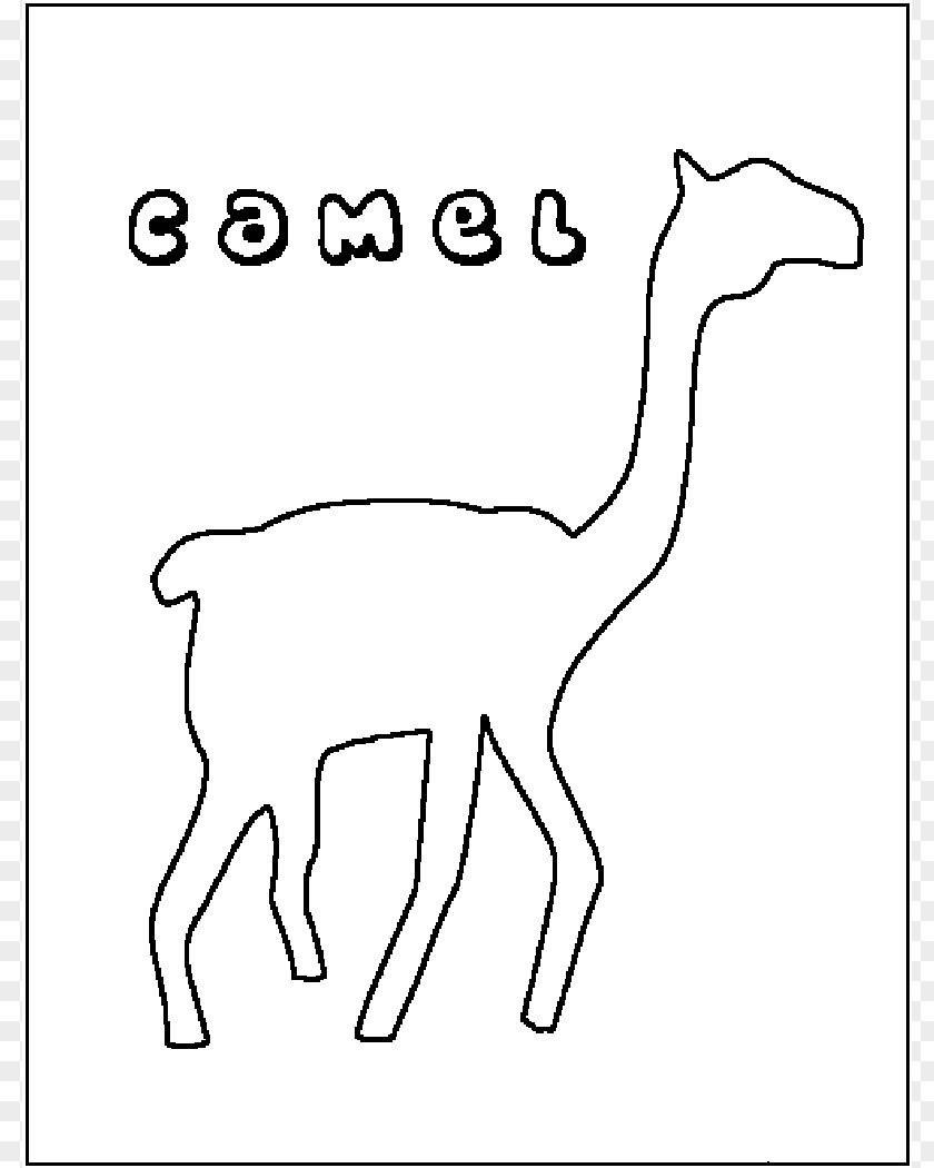 Camel Pictures To Print Dromedary Bactrian Giraffe Coloring Book Clip Art PNG
