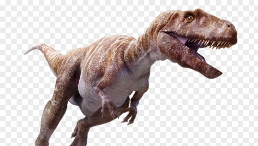 Dinosaur Megalosaurus Tyrannosaurus Torvosaurus Carcharodontosaurus PNG
