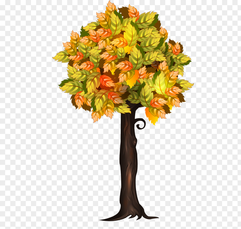 Flowerpot Woody Plant Orange PNG