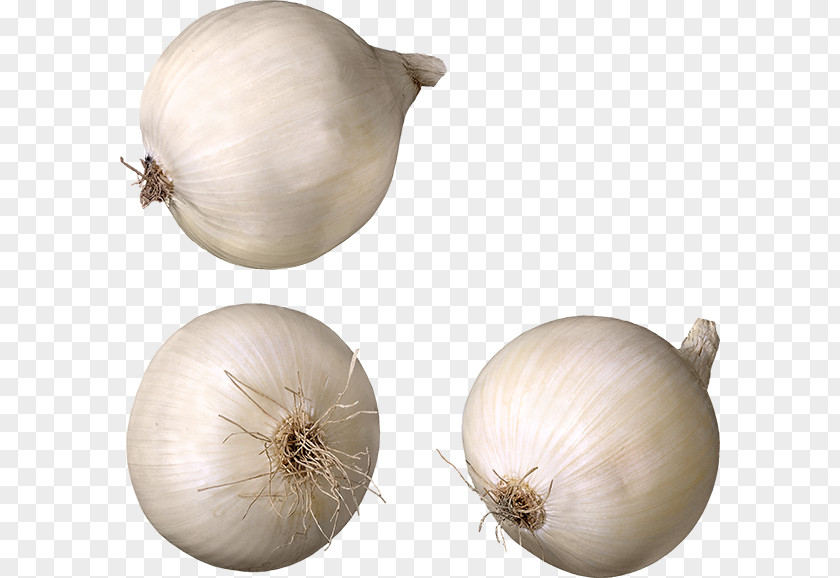 Garlic Pearl Onion Cooking Red Eating PNG