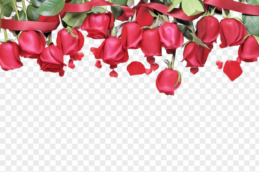 Petal Flower Red Pink Plant PNG
