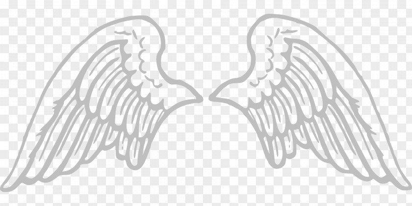 Wings Angel Clip Art PNG