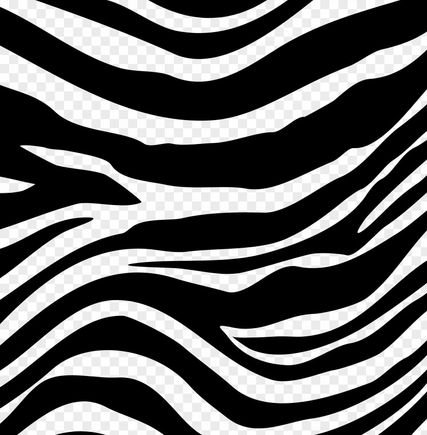 Zebra Black And White PNG