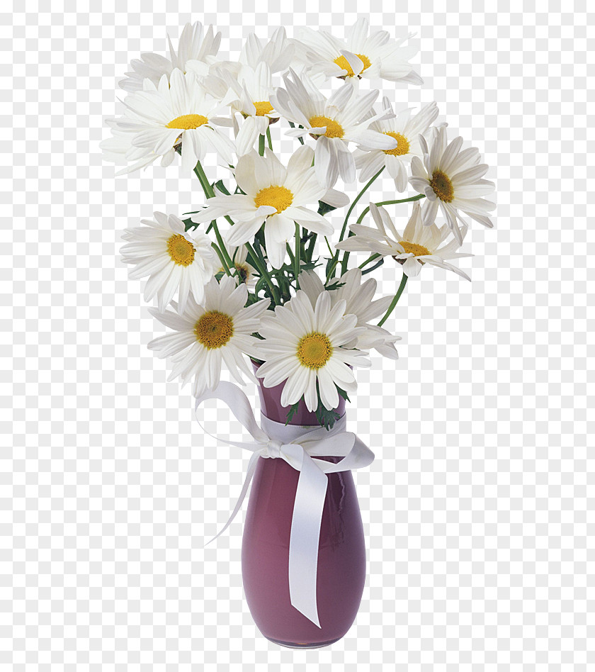 Chamomile Flower Bouquet Clip Art PNG