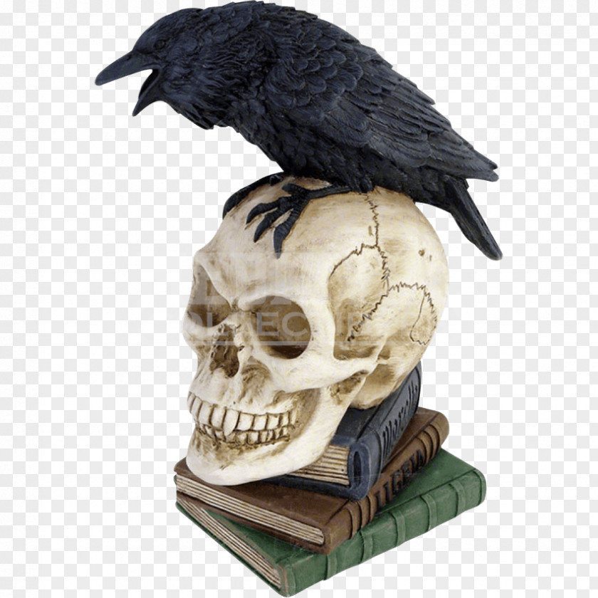 Skull The Raven Poetry Common Bone PNG