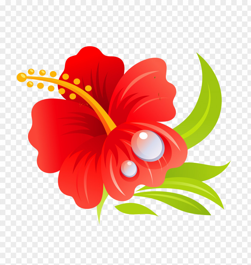 Summer Beach Vector Floral Hawaiian Hibiscus Drawing Clip Art PNG