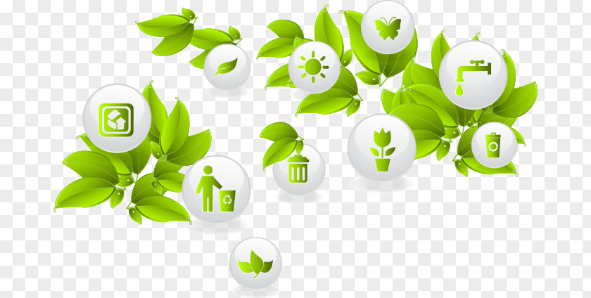 Abstract Green Leaf Pattern Icon PNG