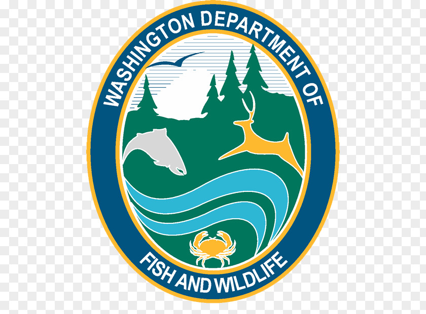 Fishing Washington Department Of Fish & Wildlife United States And Service Hunting PNG