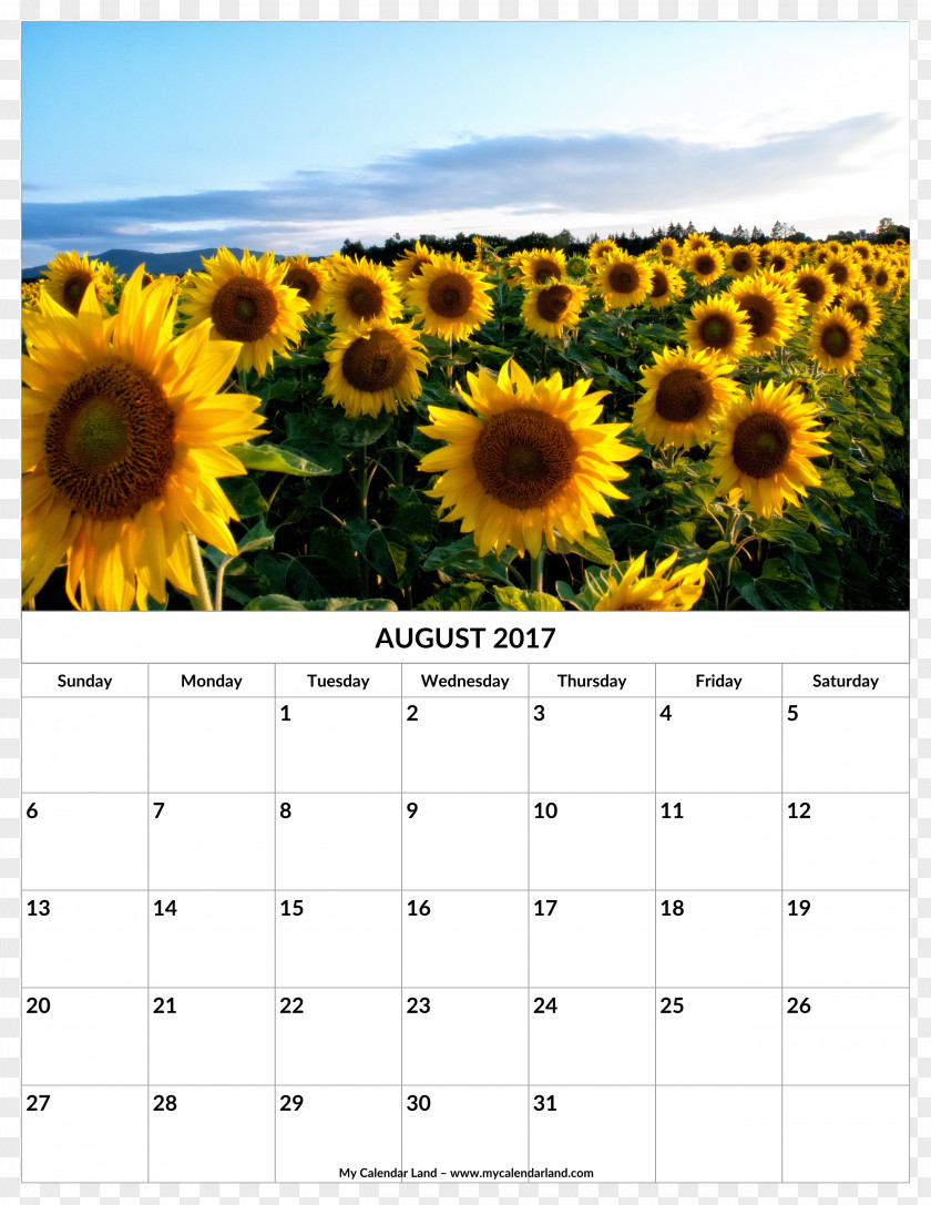 Flower Rattan Calendar Template Desktop Wallpaper Common Sunflower High-definition Television PNG