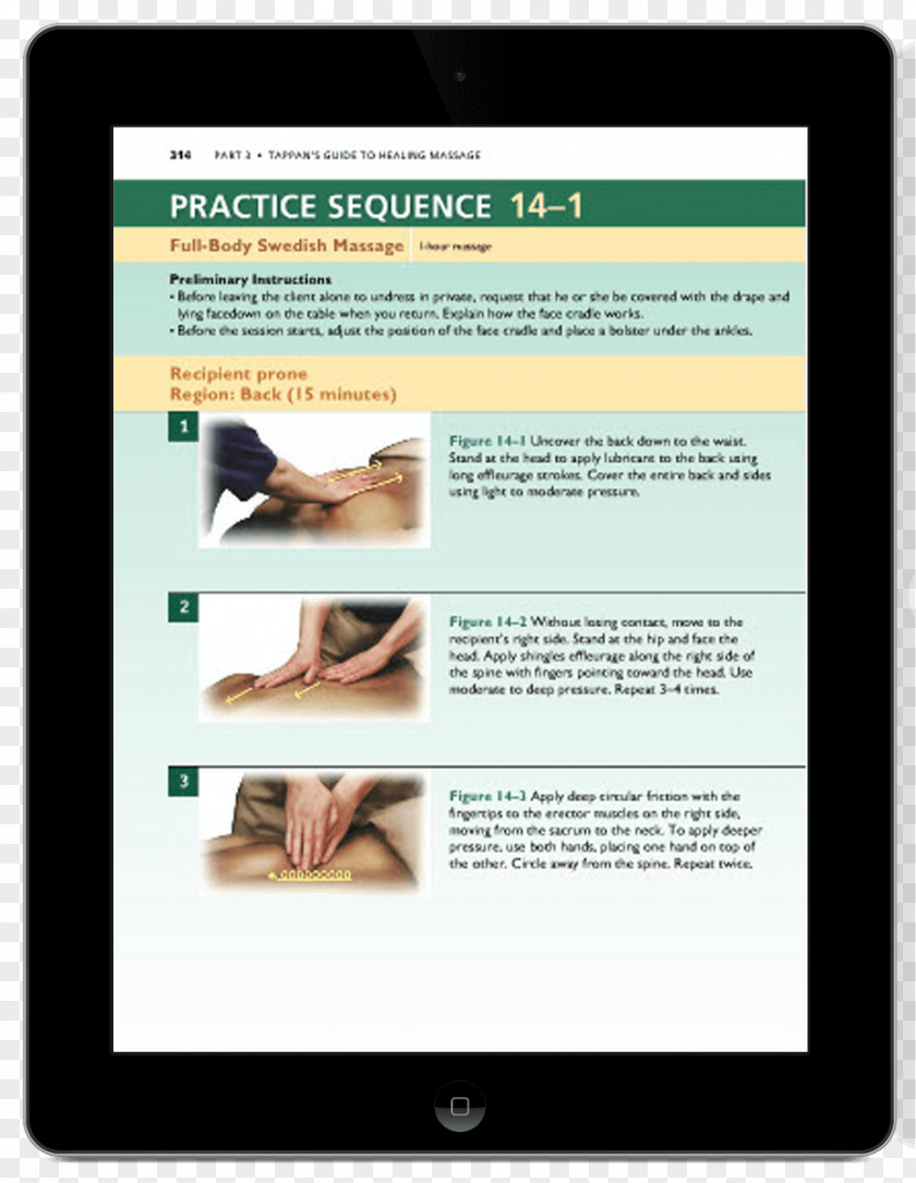 Massage Therapy Education Study Skills Test Pearson PNG