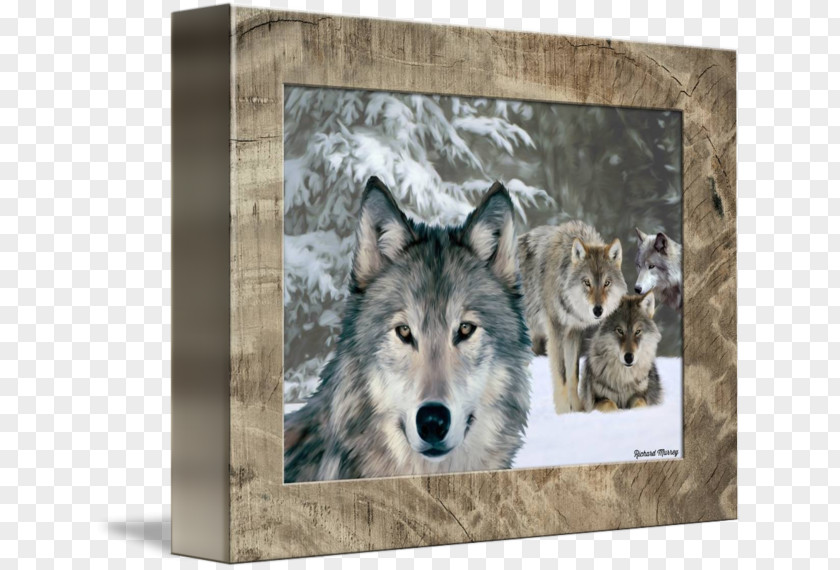 Sony Wolfdog Coyote Gray Wolf PlayStation 4 Decal PNG