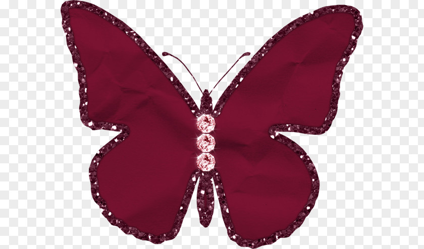 Butterfly Color Clip Art PNG