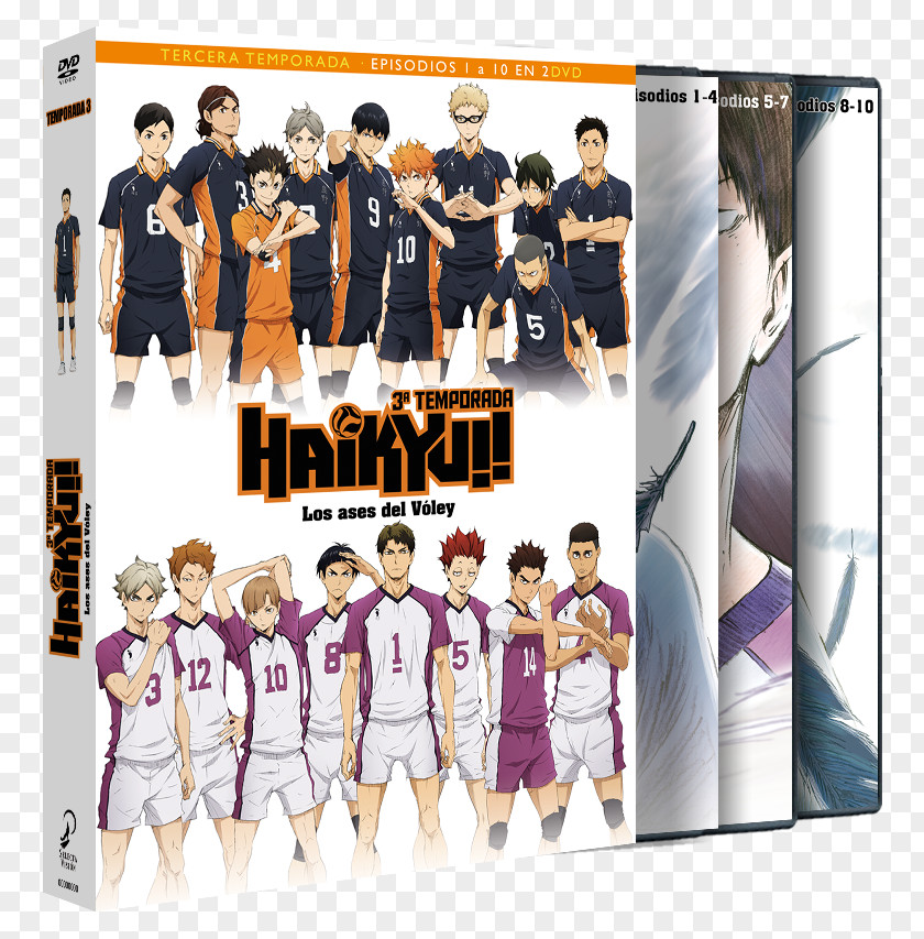 Dvd Haikyu!! Blu-ray Disc Shoyo Hinata Episode DVD PNG