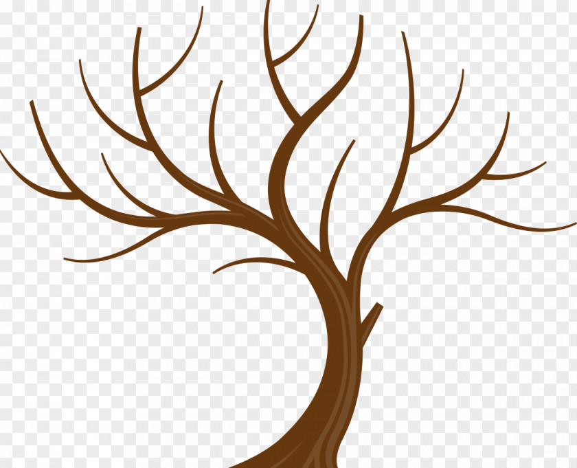 Family Tree Branch Leaf Clip Art PNG