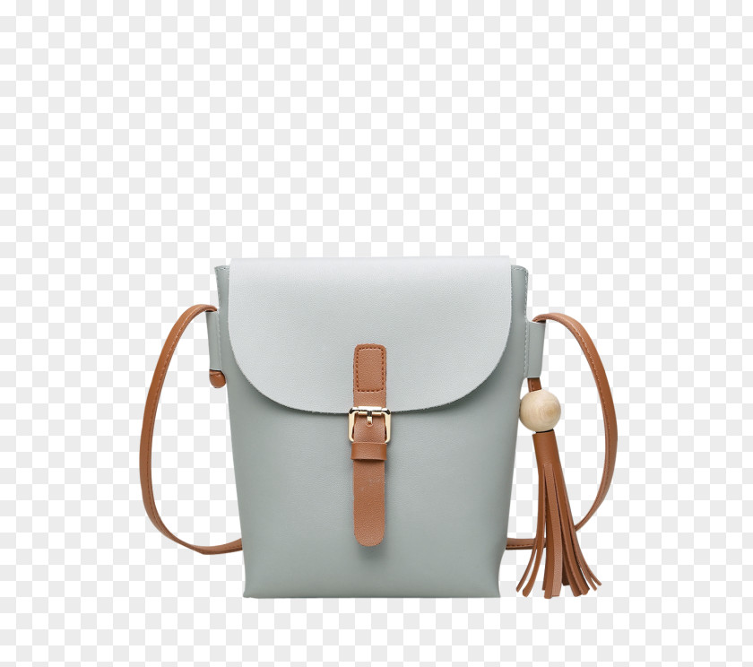 Light Gray Dress Shoes For Women Handbag Leather Messenger Bags Clothing PNG