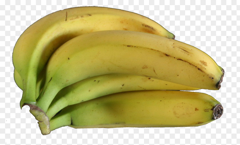 Michael Corleone Saba Banana Cooking Musa × Paradisiaca Fruit PNG