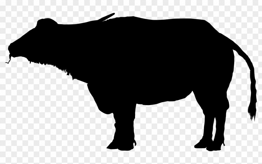 Silhouette Water Buffalo American Bison Clip Art PNG
