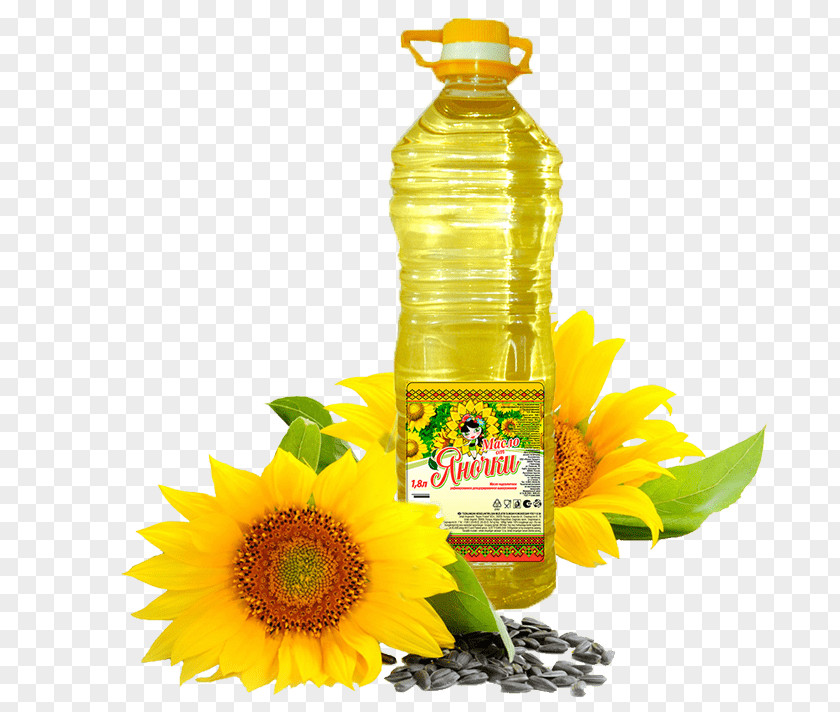 Sunflower Oil Common Seed Health PNG