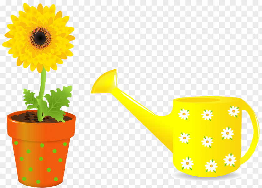 Vector Kettle Pot Material Flowerpot Stock Illustration Photography PNG