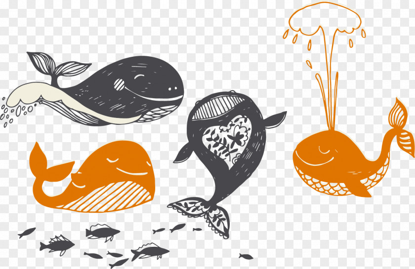 Whale Drawing Art Shutterstock Illustration PNG
