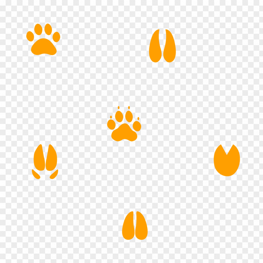 Lion Cougar Gray Wolf Coyote Animal Track PNG