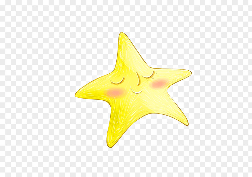 Starfish Yellow Euclidean Vector Icon PNG