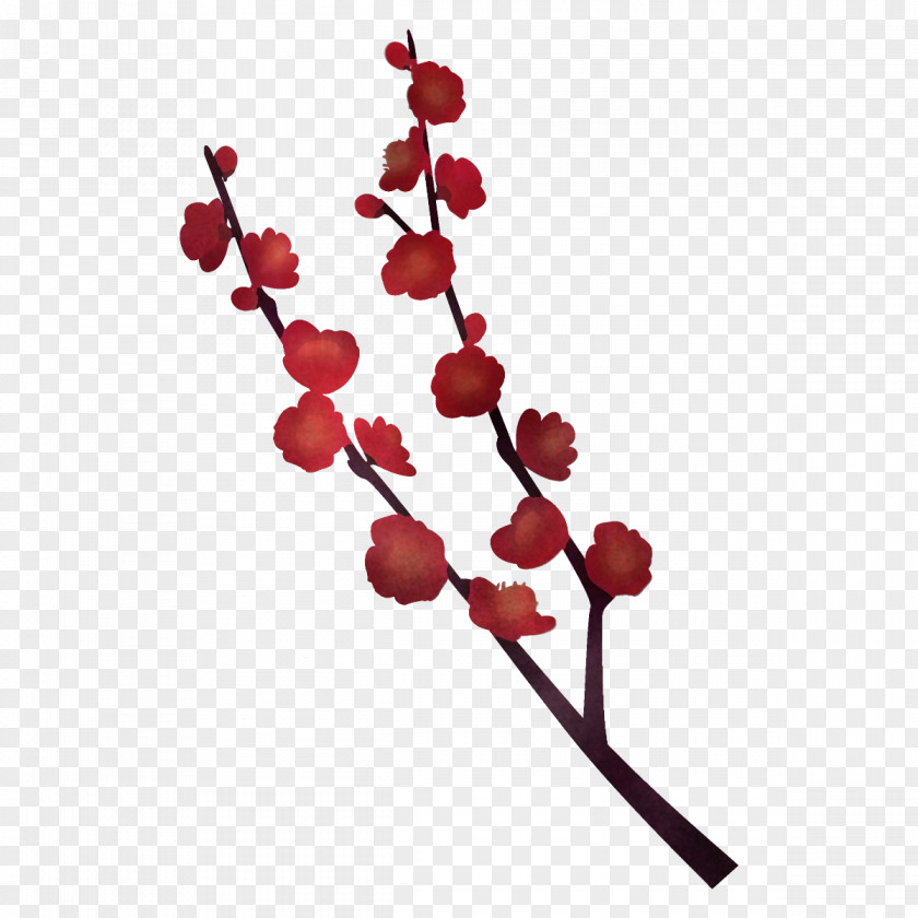 Bud Tree Cherry Blossom PNG