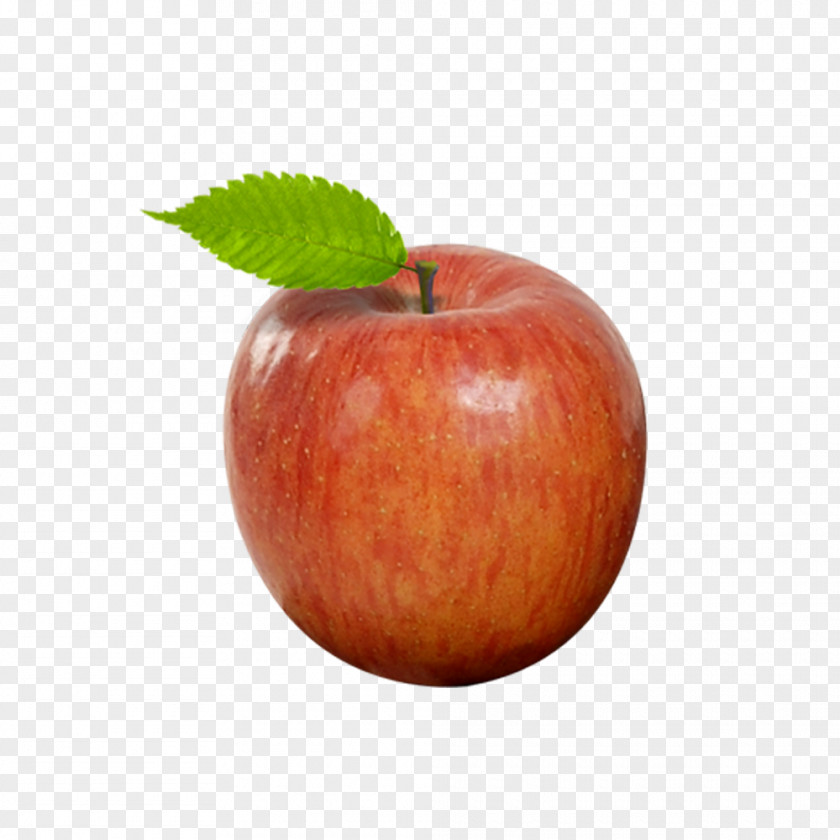 Free Apples Ripe To Pull Material Apple Auglis PNG