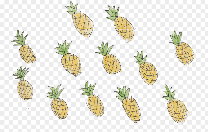 Pineapple 8tracks.com Love Is... We Heart It PNG