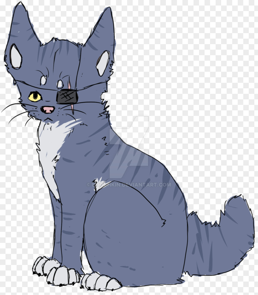 Pirate Sketch Whiskers Kitten Wildcat Domestic Short-haired Cat PNG