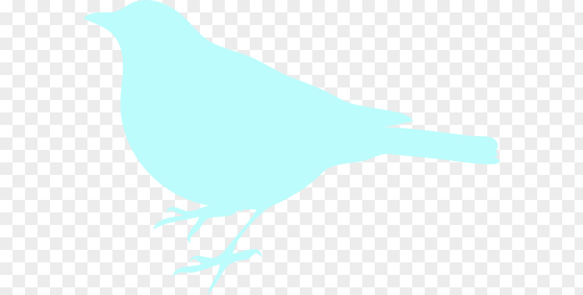 Sea Bird Gulls Penguin Clip Art PNG