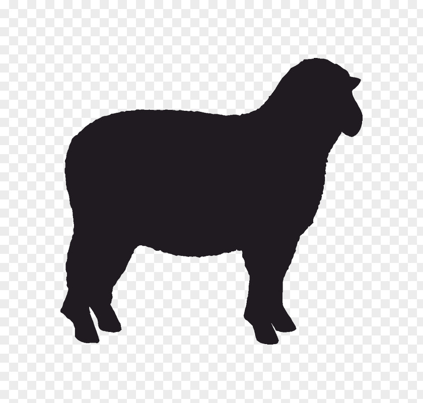 Sheep Sticker Stencil PNG