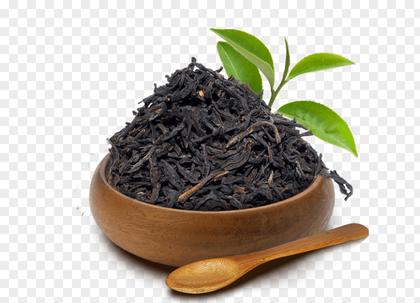 Tea Dianhong Assam Nilgiri Oolong PNG
