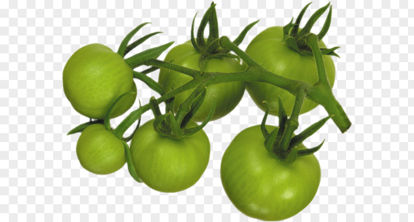 Tomate Verte Fried Green Tomatoes Vegetable Marinara Sauce Pumpkin Tomato PNG