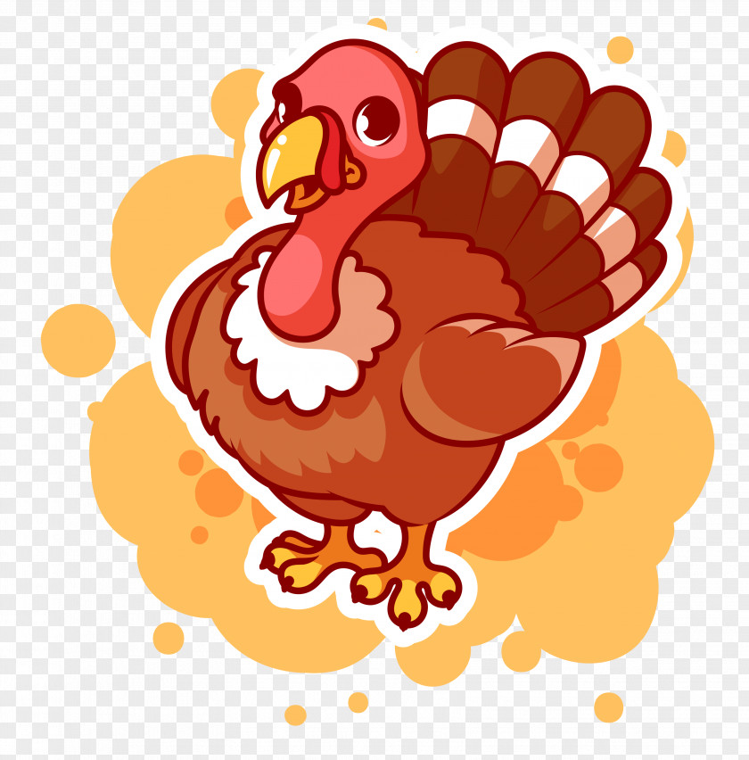 Vector Ostrich Material Turkey Rooster Bird Common Illustration PNG