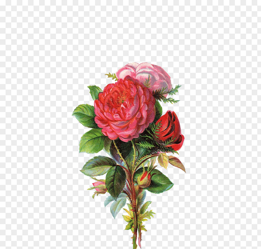 Bouquet Art Flower Clip PNG