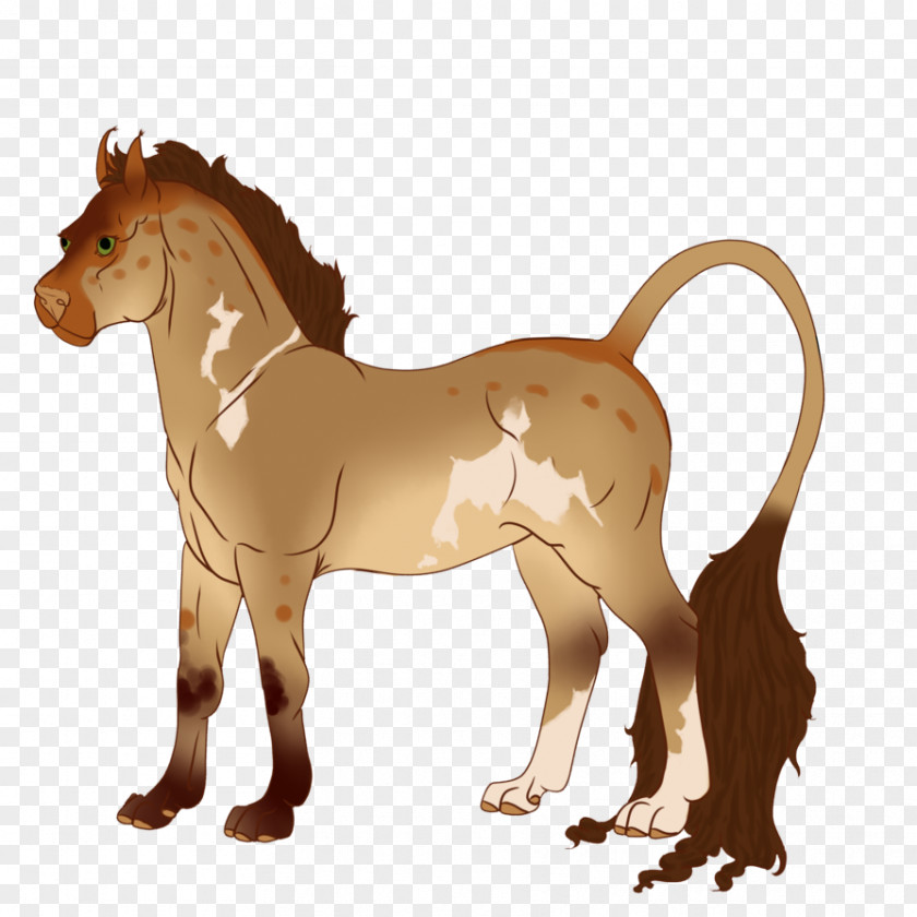 Lion Stallion Mustang Cat Pack Animal PNG