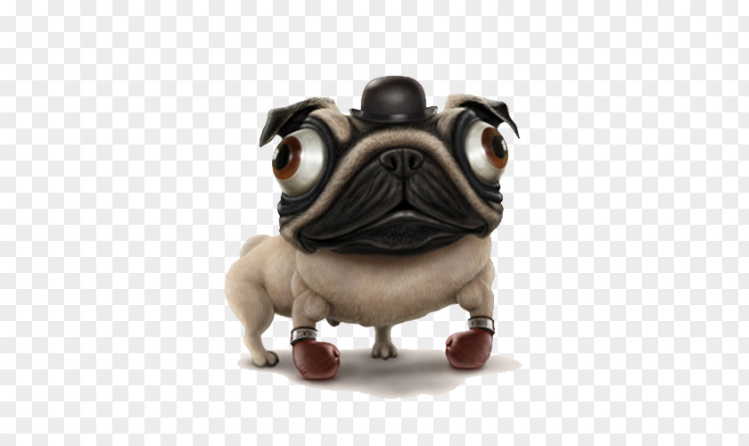 Realistic Pug Microsoft Lumia English Afrikaans Application Software Android PNG