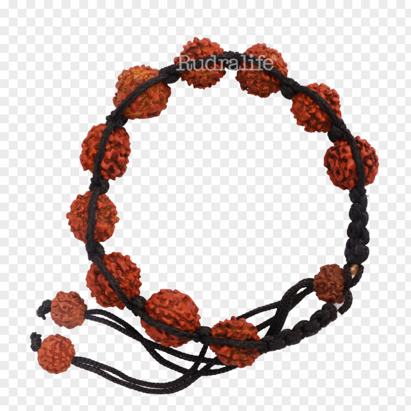 Rudraksha Bracelet Bead Rudralife Thread PNG