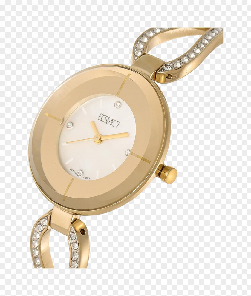 Watch Dial Strap 01504 PNG
