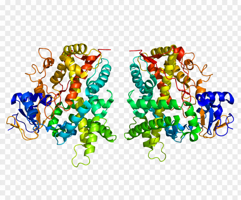 Cytochrome CYP2E1 GeneCards P450 CYP2C19 PNG