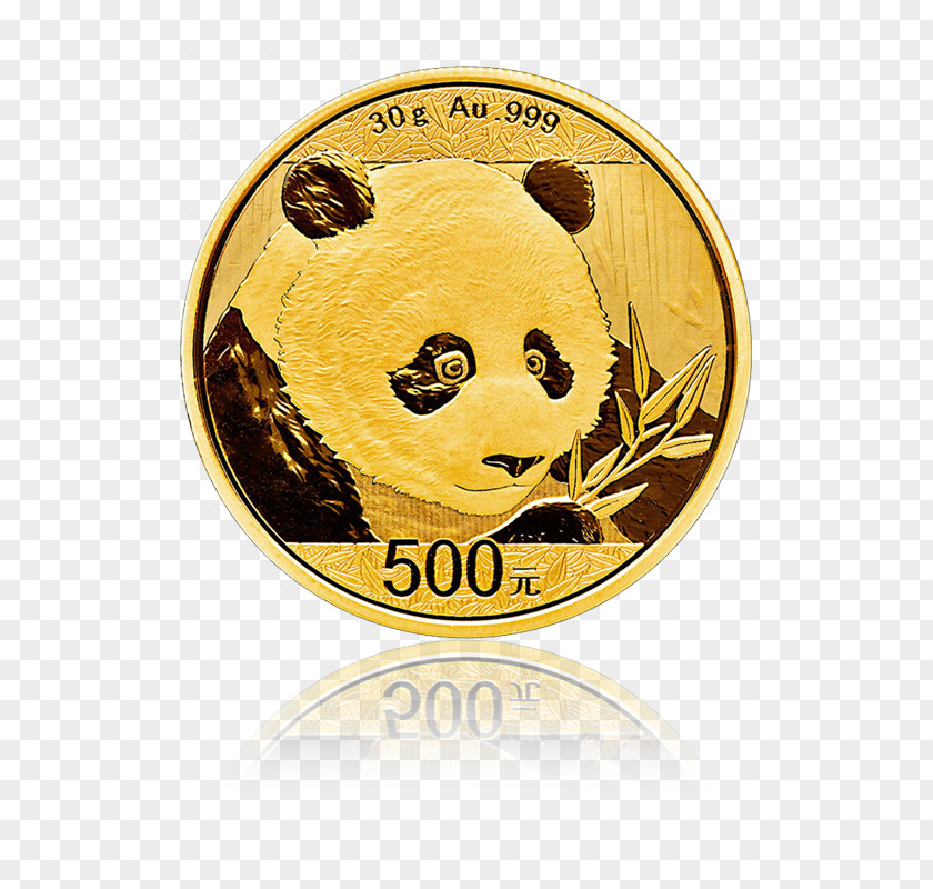 Gold Giant Panda Chinese Central Mint Bullion PNG