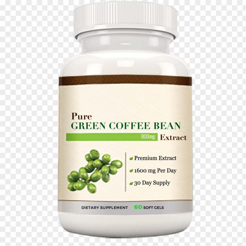 Green Coffee Superfood Herb PNG