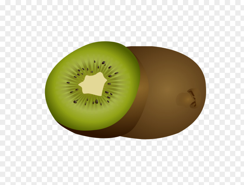 Kiwi Kiwifruit Clip Art Image Drawing PNG
