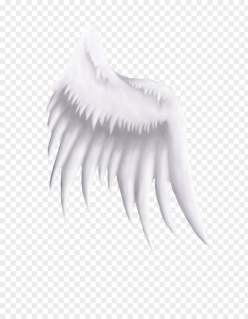 Neck White PNG